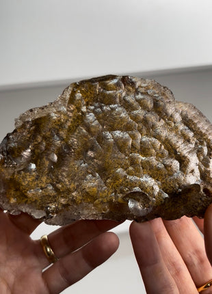 Bubbly Mica Specimen Collection # 793