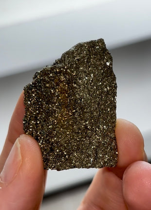 Rare ! Pyritized Petrified Wood PM0689