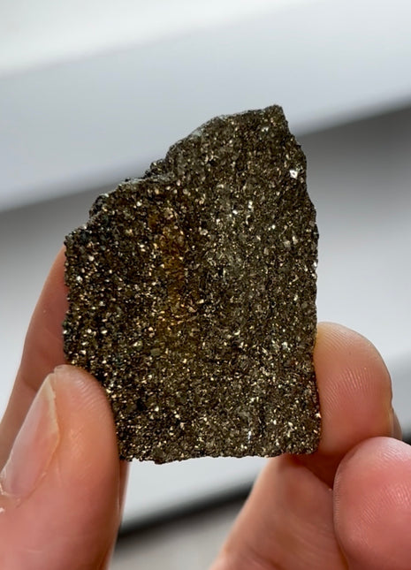 Rare ! Pyritized Petrified Wood PM0689