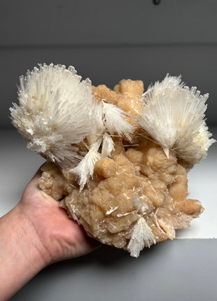 Stunning ! Scolecite Spray with Stilbite