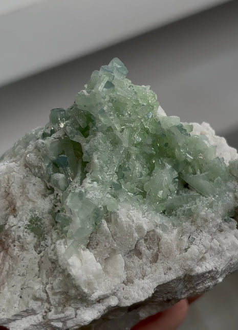 Blue Tip Tourmaline with Feldspar PM1401