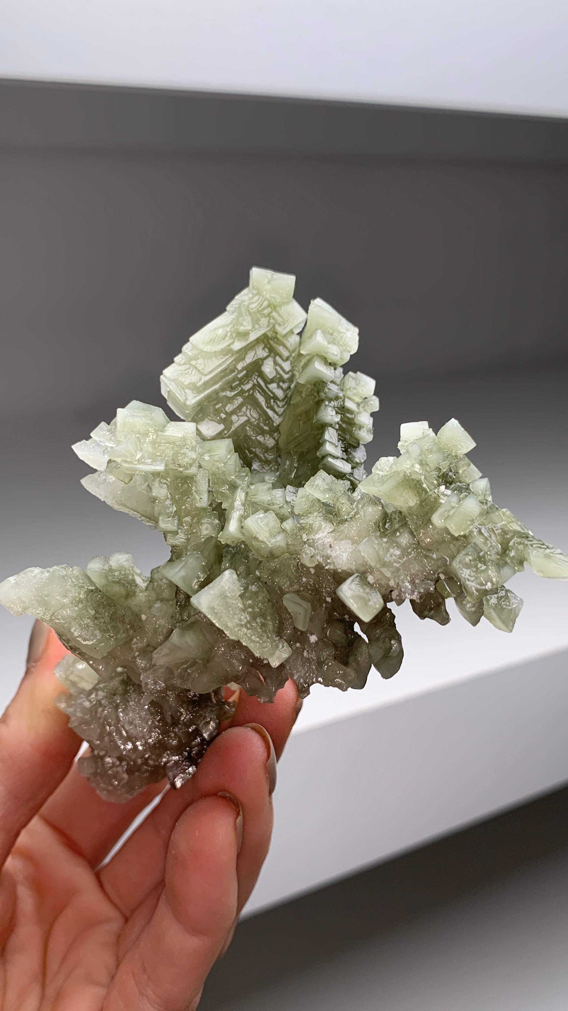 Colorless Halite Unusual ! Skeletal Green Halite with Tolbachite – Pacific Minerals Shop