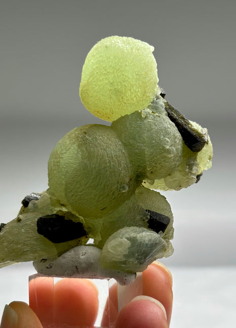 Green Prehnite with Epidote - From Mali