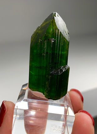 Green Tourmaline with Amazing Termination - Collection # 049 *