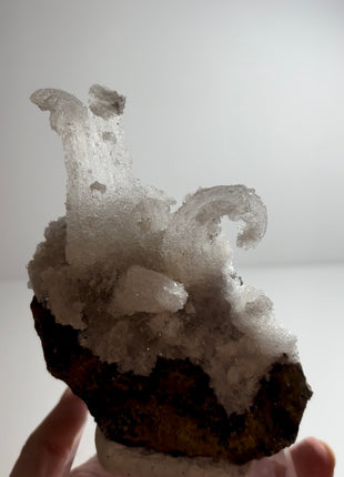 Magical ! Rams Horn Selenite on Matrix