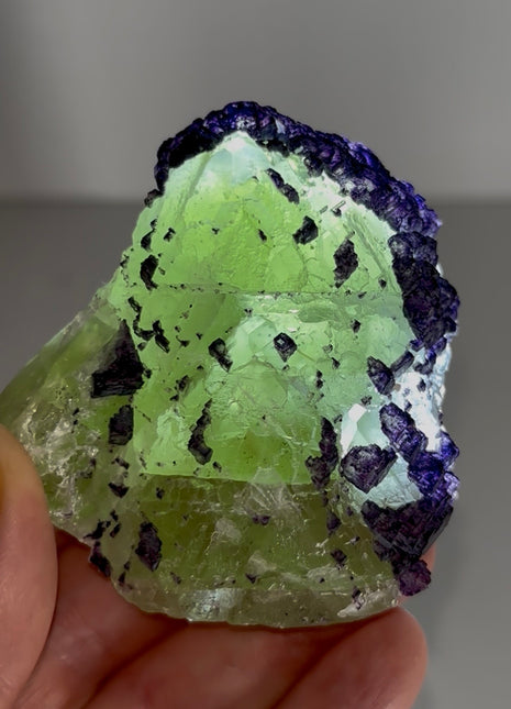 Green Fluorite with Purple Crystallization PM1156