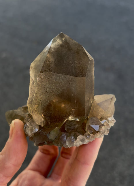 New Arrival ! Smoky Quartz - From Chamonix, French Alps