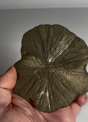 Pyrite Sun - From Sparta, Illinois