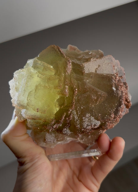 Fluorite from Erika mine, Germany Collection # 746