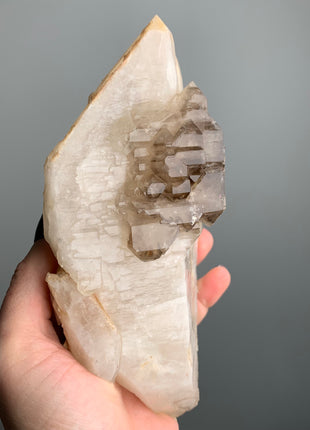 Elestial Smoky Quartz on White Quartz - From Namibia