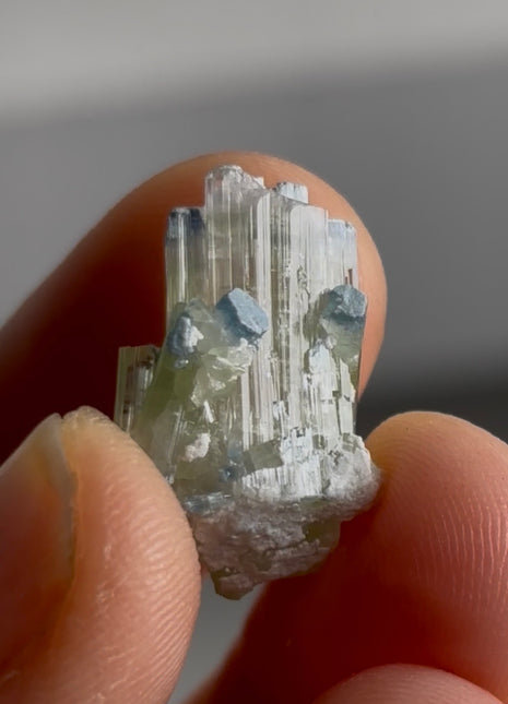 Blue Tip Tourmaline PM0676