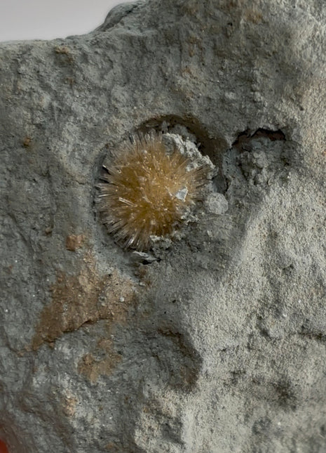 Bursting Sun Aragonite in Cluster - From Pantoja, Spain