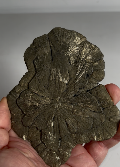 Pyrite Sun - From Sparta, Illinois