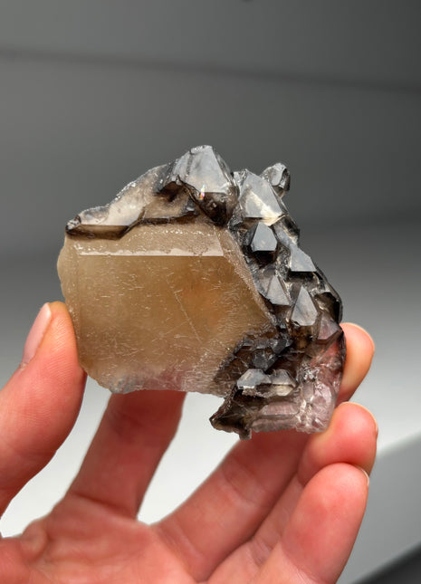 Elestial Smoky Quartz