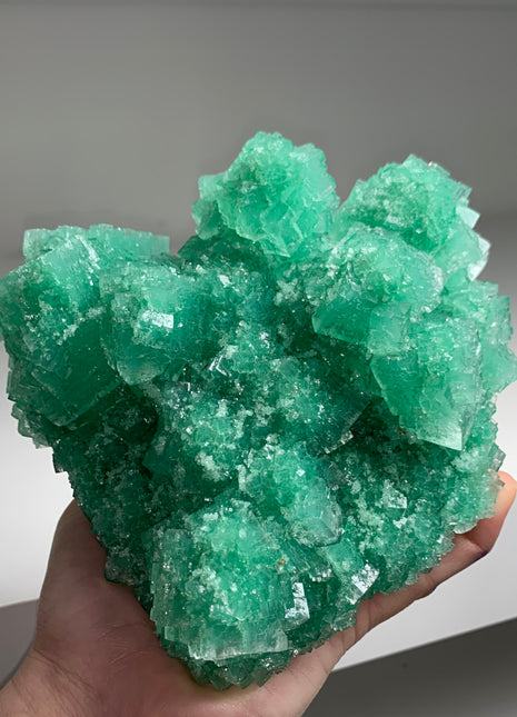 Our Finest ! Green Halite with Atacamite inclusion - From Lubin mine, Poland