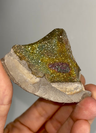 Spectropyrite Specimen from Volga River, Russia 🌈