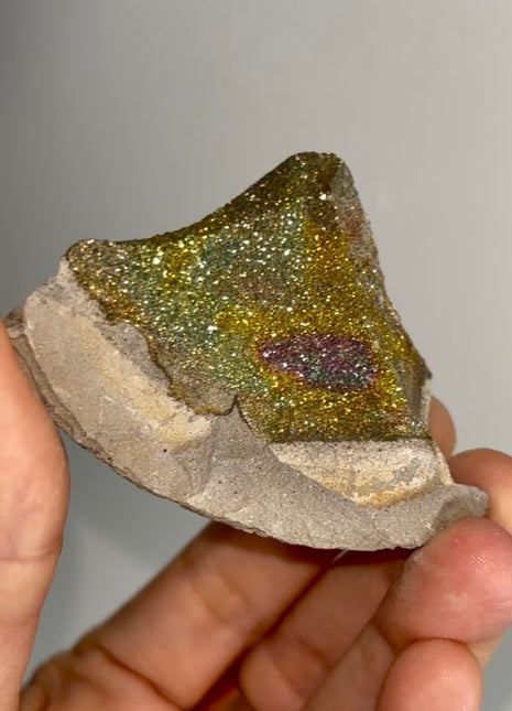 Spectropyrite Specimen from Volga River, Russia 🌈