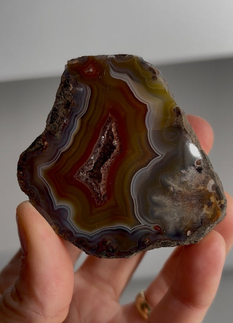 Condor Agate Geode from Argentina