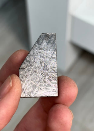 Muonionalusta Meteorite ☄️