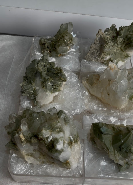 6 Pieces ! Green Chlorine Quartz Lot