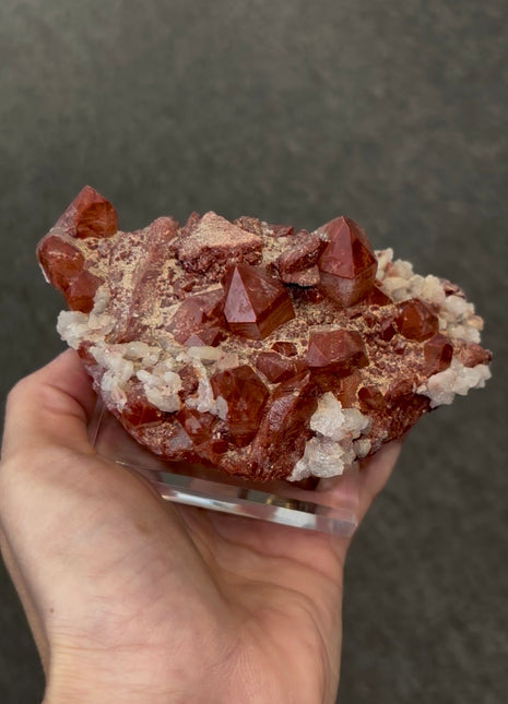 Red Phantom Quartz Ex Martinotti Collection # 755
