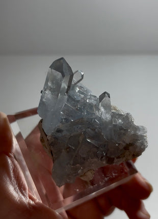Gemmy Blue Celestite 💎