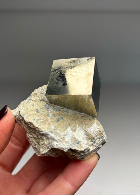 Cubic Pyrite on Matrix from Navajun, Spain