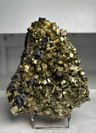 Big Size ! Lustrous Pyrite from Borieva mine, Bulgaria