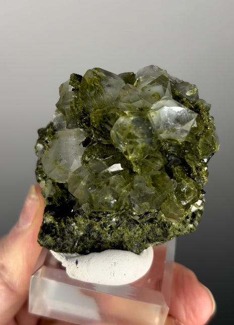 Forest Green Epidote with Quartz