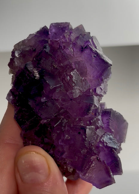 New find ! Fluorite from Turkey PM1175