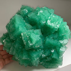 Collection image for: Green Halite