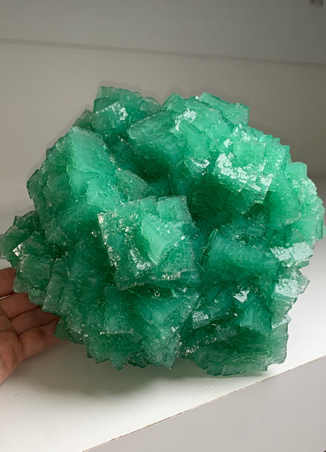 Our Finest ! Green Cubic Halite - From Lubin mine, Poland