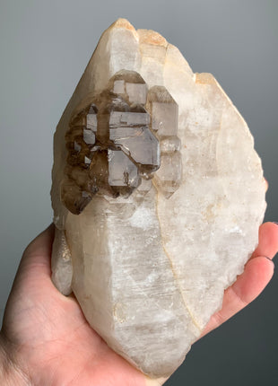 Elestial Smoky Quartz on White Quartz - From Namibia