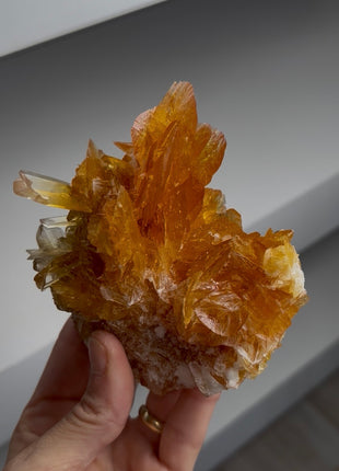 Golden Honey Selenite Flower from Peru