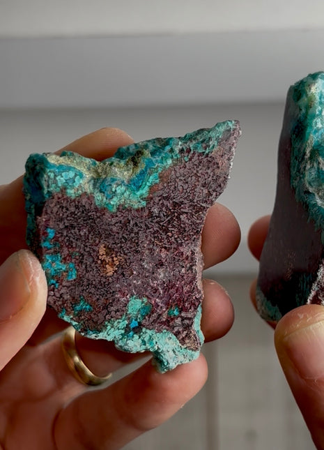 Stunning  ! Blue Chrysocolla with Native Copper Pair