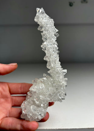 Stunning !  Apophyllite Stalactite