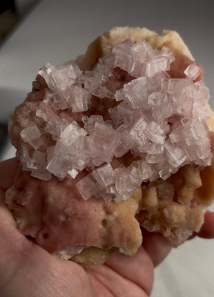 Rare ! Pink Green Bicolor Halite with Trona