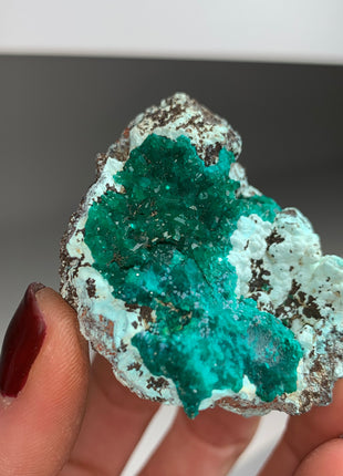 Lustrous Green Dioptase with Plancheite