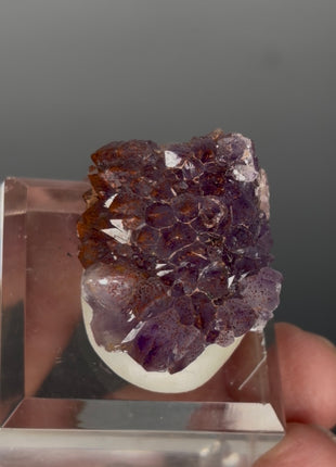 Red Amethyst Flower - From Thunder Bay, Canada