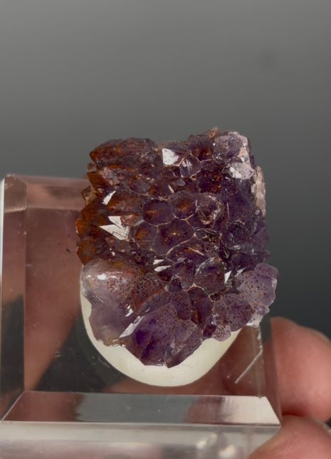 Red Amethyst Flower - From Thunder Bay, Canada