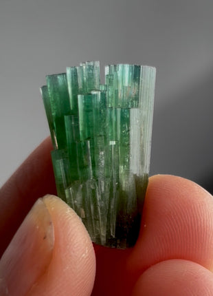 Blue Green Tourmaline Bunch PM1342