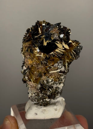 Wow !! Golden Rutile with Hematite Both-sided