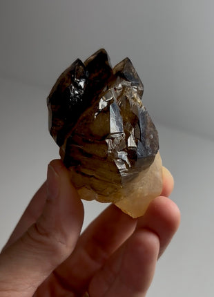 Elestial Smoky Quartz - From Namibia Special Price 💥