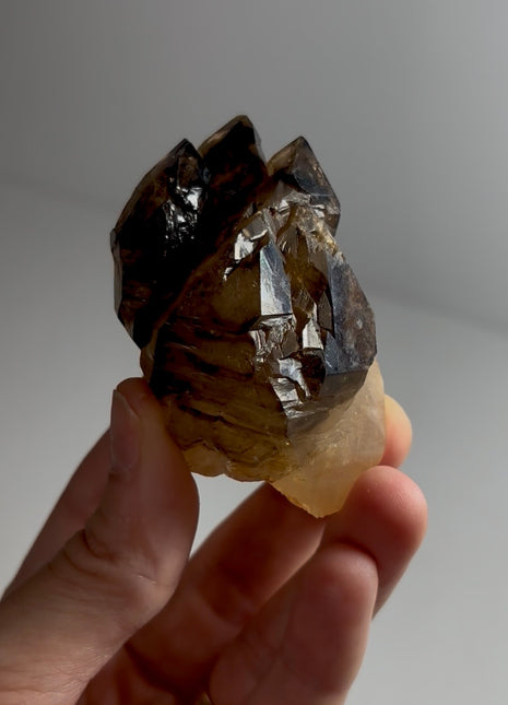 Elestial Smoky Quartz - From Namibia Special Price 💥