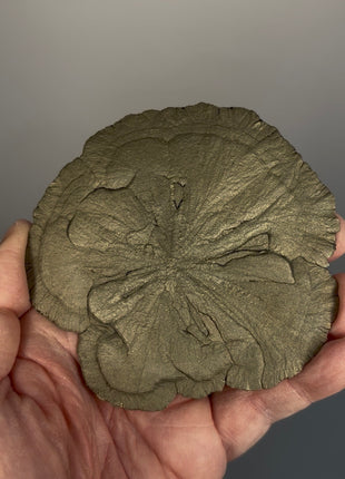 Pyrite Sun - From Sparta, Illinois