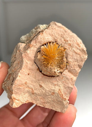 Bursting Sun Aragonite Ball in Cluster - From Pantoja, Spain