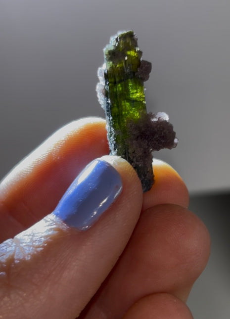 New ! Green Tourmaline with Lepidolite