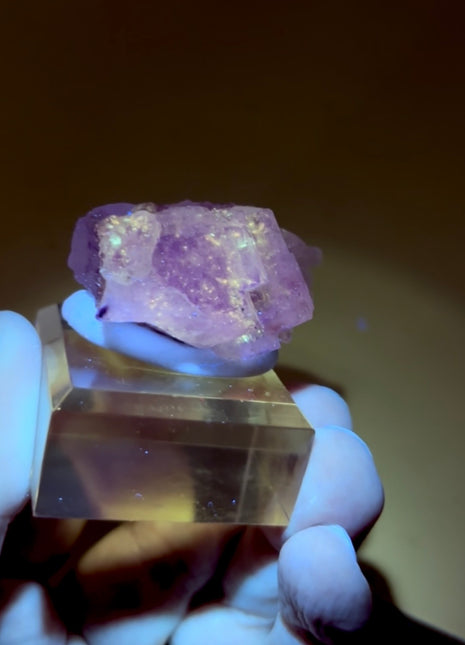 New Arrival ! Galaxy Fluorite