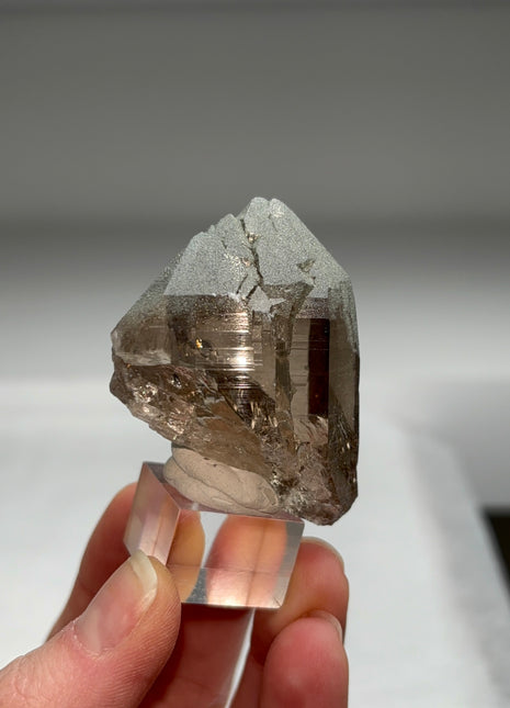 Gemmy Smoky Quartz with Green Terminations - From France