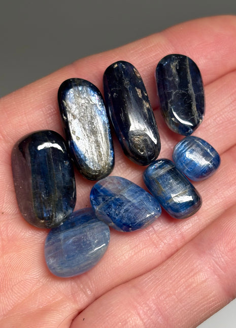 High Grade Blue Kyanite Lot from Nepal, 8 Pieces